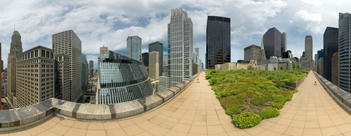 Rooftop Garden, Chicago City Hall • Northwest Corner.